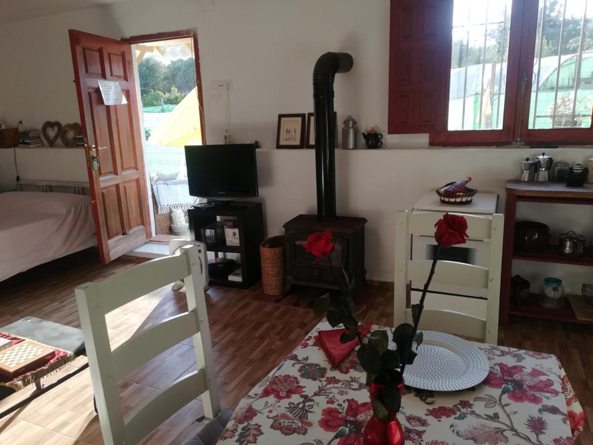 Country Side Loft Apartment Valencia Exterior foto